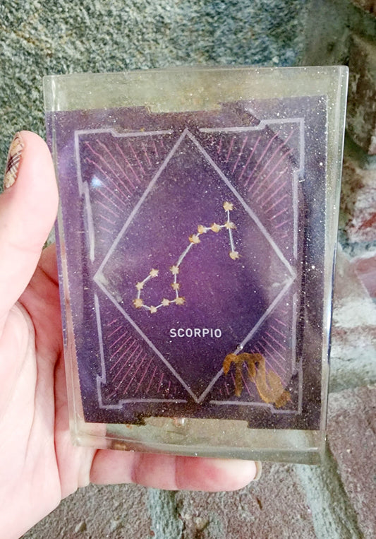 Scorpio Zodiac Constellation Resin Dish