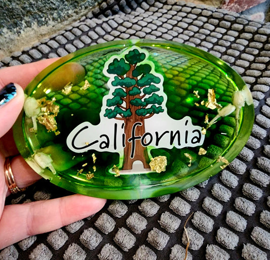California Resin Dish, State Dishes Collection