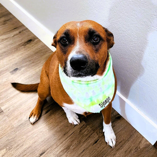 Doggy Tie Dye Bandana Personalized